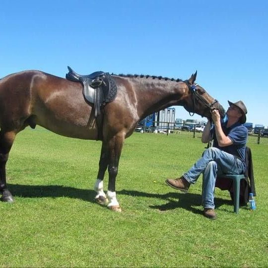 A man sits on a chair, interacting with a horse on a grassy field under a clear blue sky.