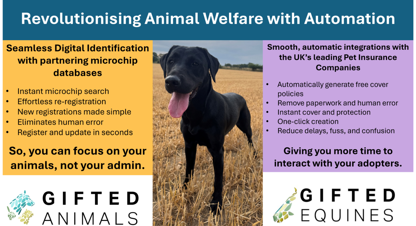 Revolutionising animal welfare and care A happy dog in a field promoting animal welfare through automation.