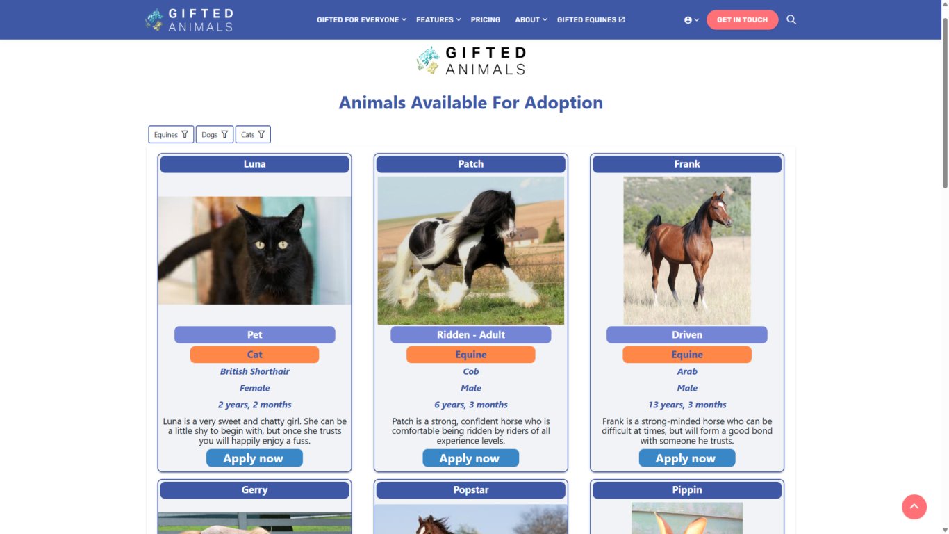 Animal fostering adoptions and rehoming Black cat, dog, cow, and horse available for adoption, with details and images shown.